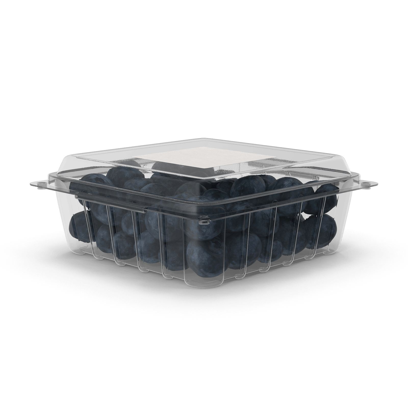 Blueberry punnet tub and lid.