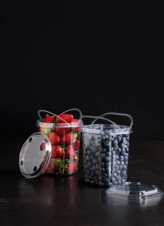 Innovative Yucca Packaging blueberry and strawberry plastic buckets and lids.