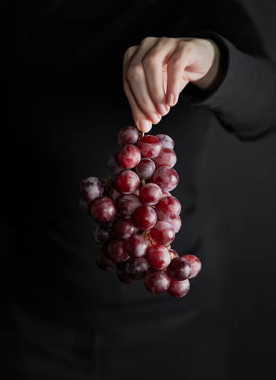 A ladies hand extended forward holding grapes hanging down.