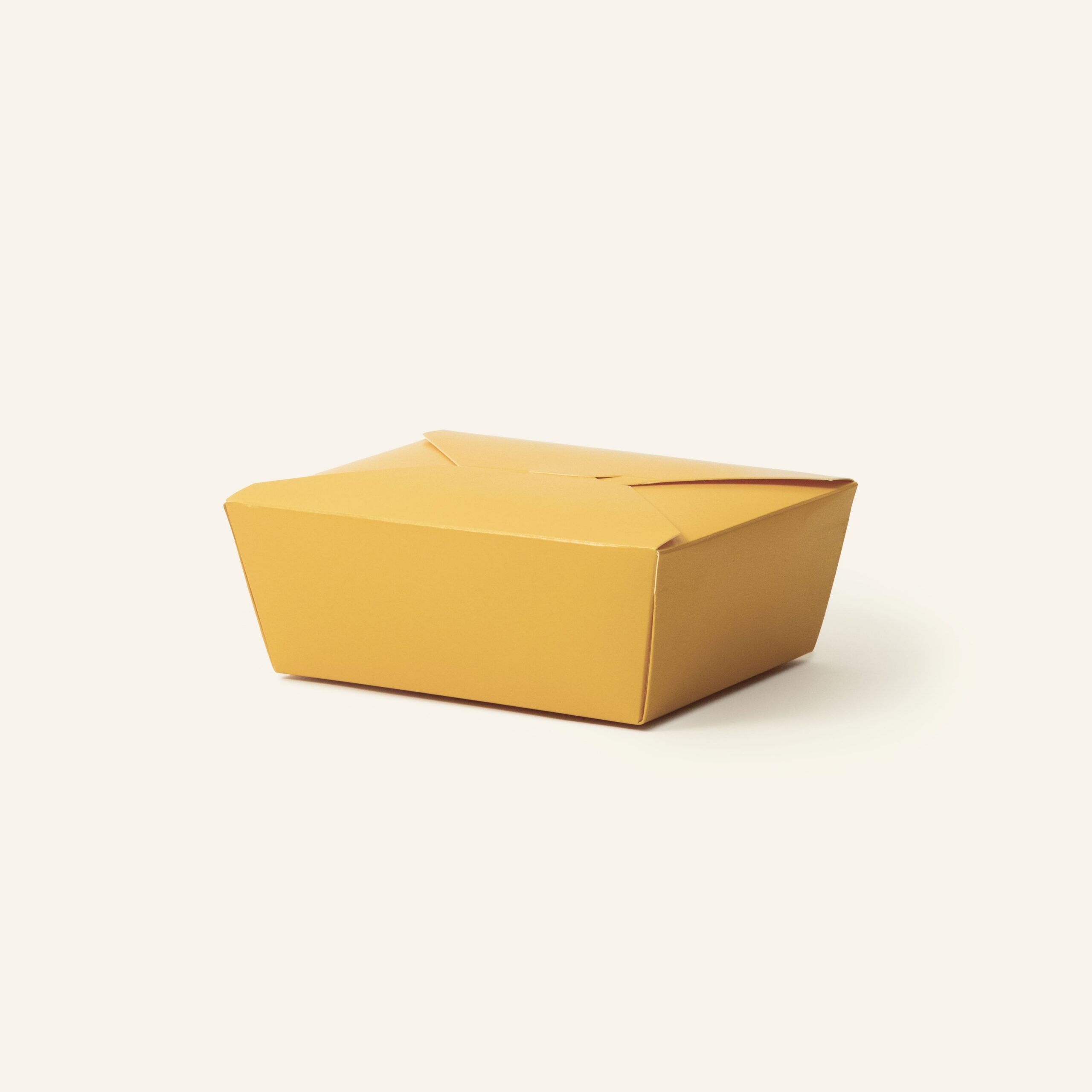 Yellow Lunch Box