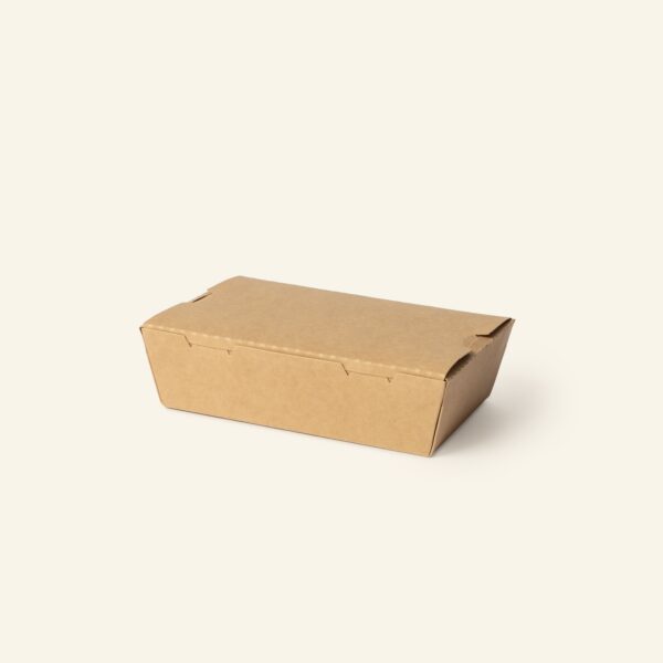 Kraft Paper Container No Window